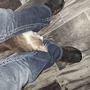 Meet your Posher, Barbara